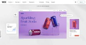 wix, website design, website builder, website development